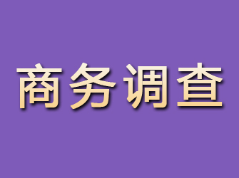 宝安商务调查