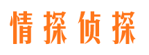 宝安捉小三公司